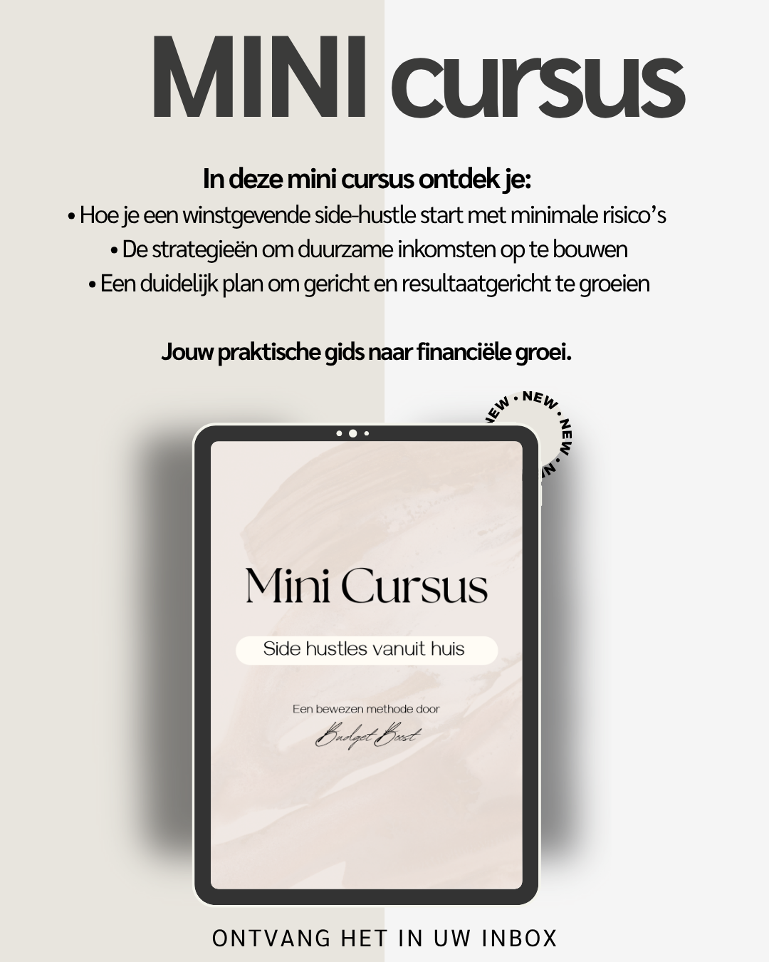 Mini - cursus  - Jouw Side Hustle Starter