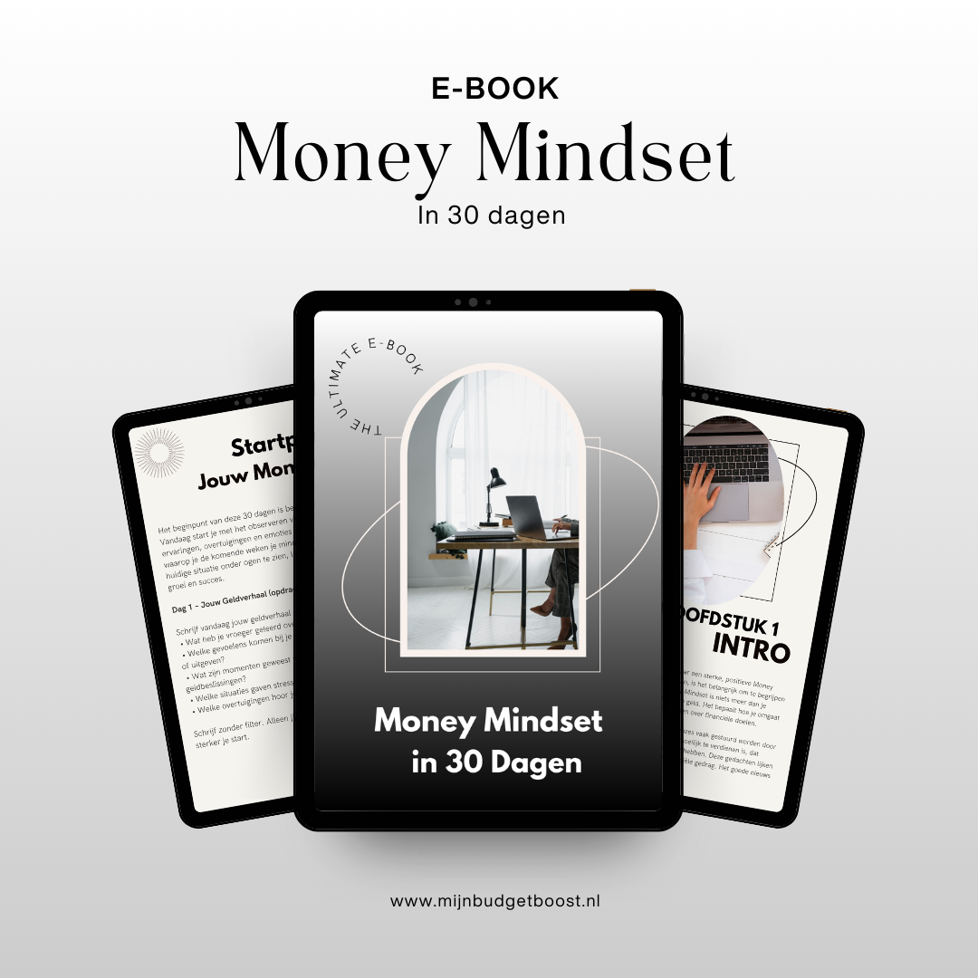 30 Dagen Budget Boost